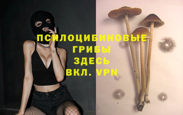 круглые Надым
