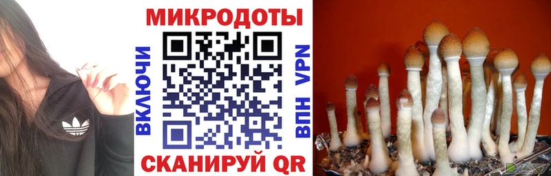 Галлюциногенные грибы прущие грибы  сколько стоит  Лиски 