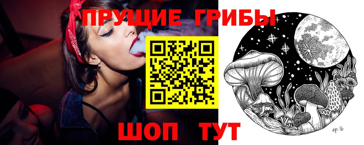 Псилоцибиновые грибы Psilocybine cubensis Лиски