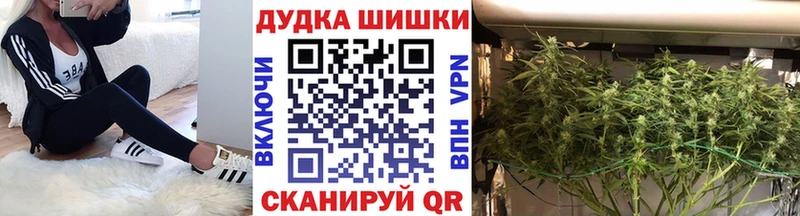 Бошки марихуана планчик  Лиски 